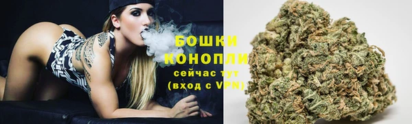 гидра Зеленокумск