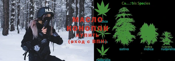 мдпв Зеленодольск