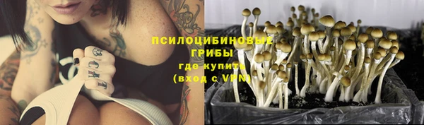 каннабис Зерноград