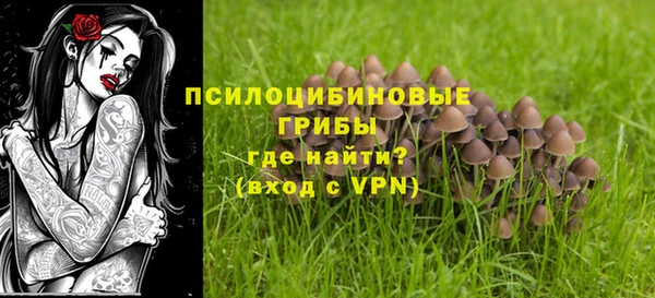 мдпв Зеленодольск