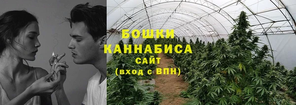 гидра Зеленокумск