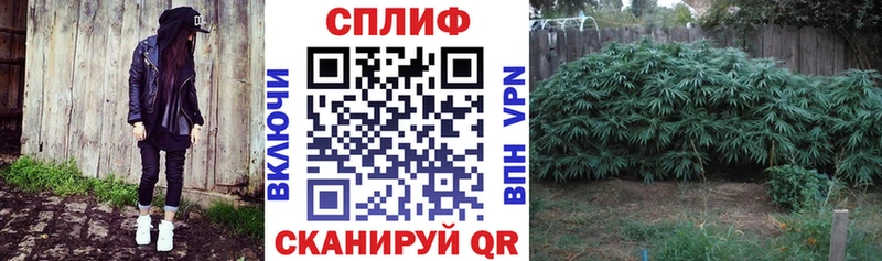 Каннабис гибрид  Купить закладки  Всеволожск 